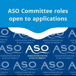 Opportunity for ASO members to get more involved in ASO