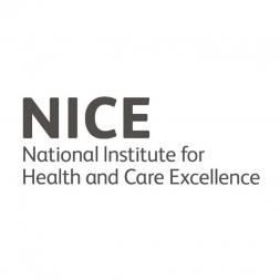 NICE Logo
