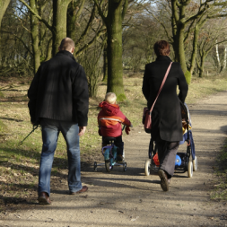 Image of a family with young children taking an autumnal walk